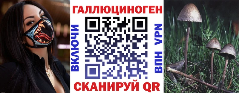 цены наркотик  Глазов  Псилоцибиновые грибы Cubensis 